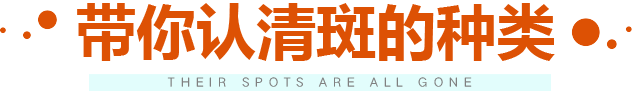 改变·遇见更美的自己
